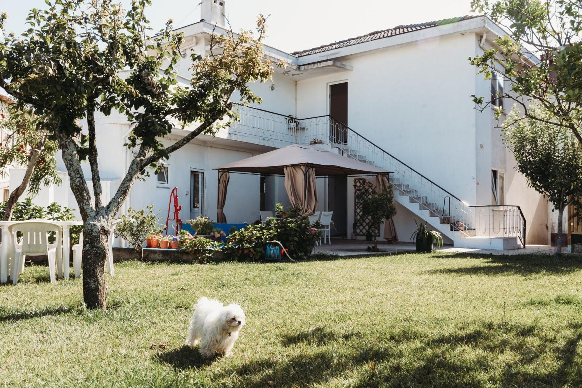 A Casa Da Estrela - Albergue De Peregrinos Fajozes Luaran gambar